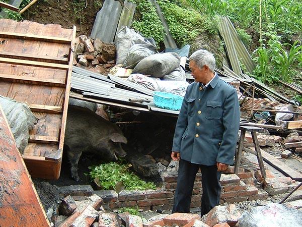 图忆｜汶川地震十三周年：回忆未曾忘却，“猪”依然“坚强”