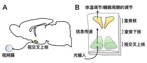 公司易经测名字打分